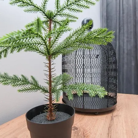 Zabrska 45 לינה וארוחת בוקר