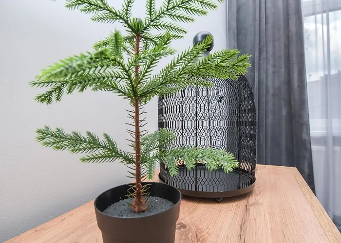 Zabrska 45 Bed & Breakfast